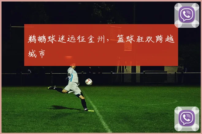 鹈鹕球迷远征金州，篮球狂欢跨越城市
