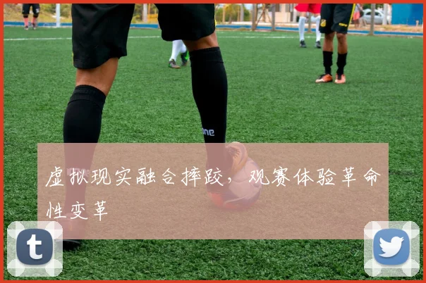 虚拟现实融合摔跤，观赛体验革命性变革