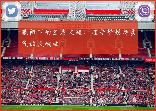 暖阳下的王者之路：追寻梦想与勇气的交响曲