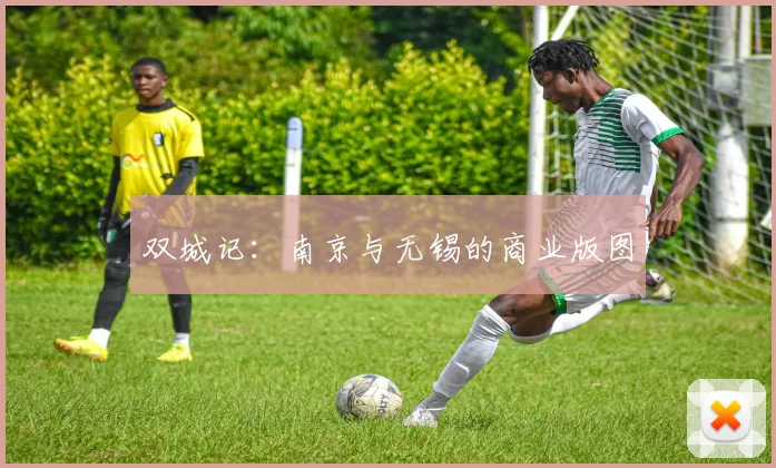 双城记：南京与无锡的商业版图