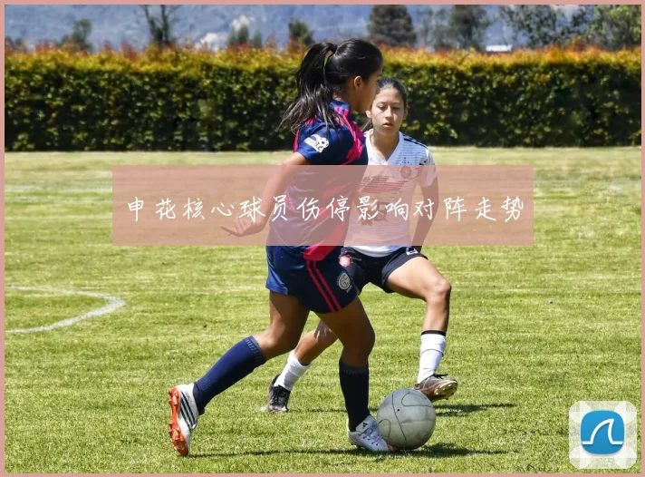 申花核心球员伤停影响对阵走势