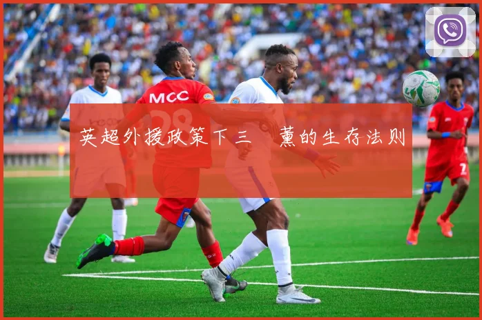 英超外援政策下三笘薰的生存法则