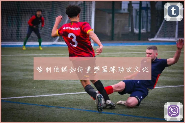 哈利伯顿如何重塑篮球助攻文化